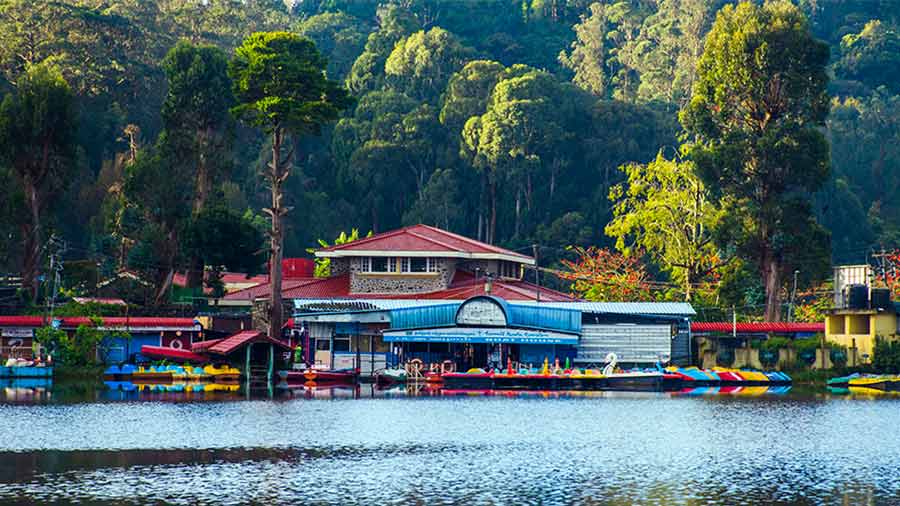 Kodaikanal Local Sight Seeing Packages